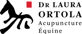 partenaire acupunctrice docteur Laura Ortola